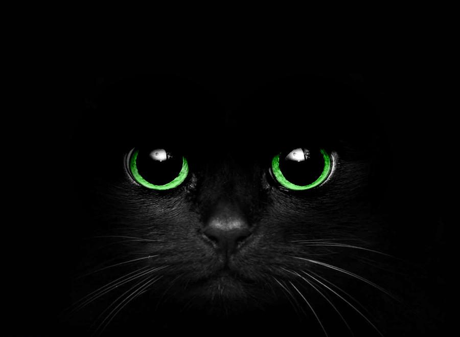 Котешки очи в тъмното 