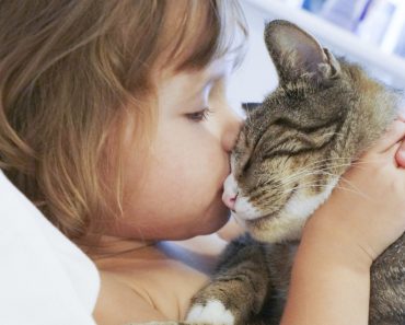 9 Факти, Доказващи как Котката Подобрява Живота Ни