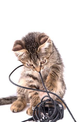 Котка, която се забавлява с кабели