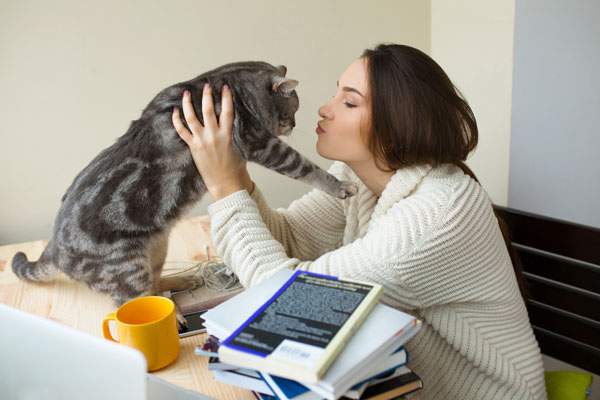 Жена, която се опитва да целуне котката си