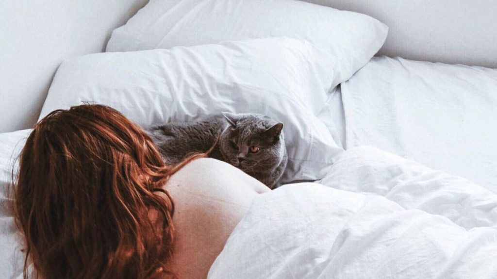 Добра идея ли е котето ви да спи в спалнята заедно с вас?