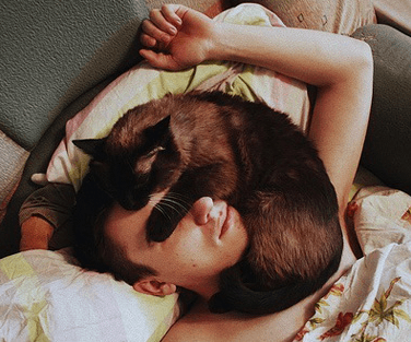 Котка, която спи върху лицето на човешкият си родител